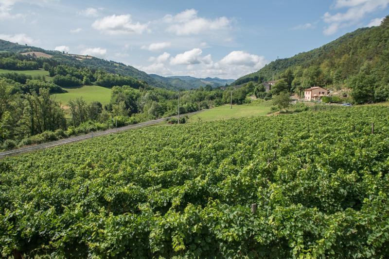 Agriturismo Pedrosola บริซิเกลลา ภายนอก รูปภาพ