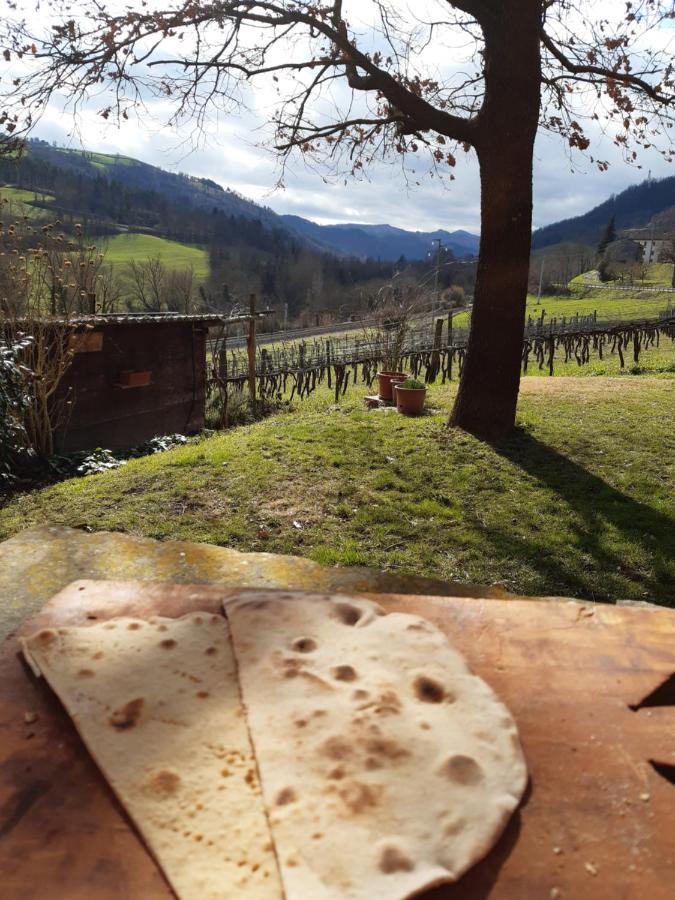 Agriturismo Pedrosola บริซิเกลลา ภายนอก รูปภาพ