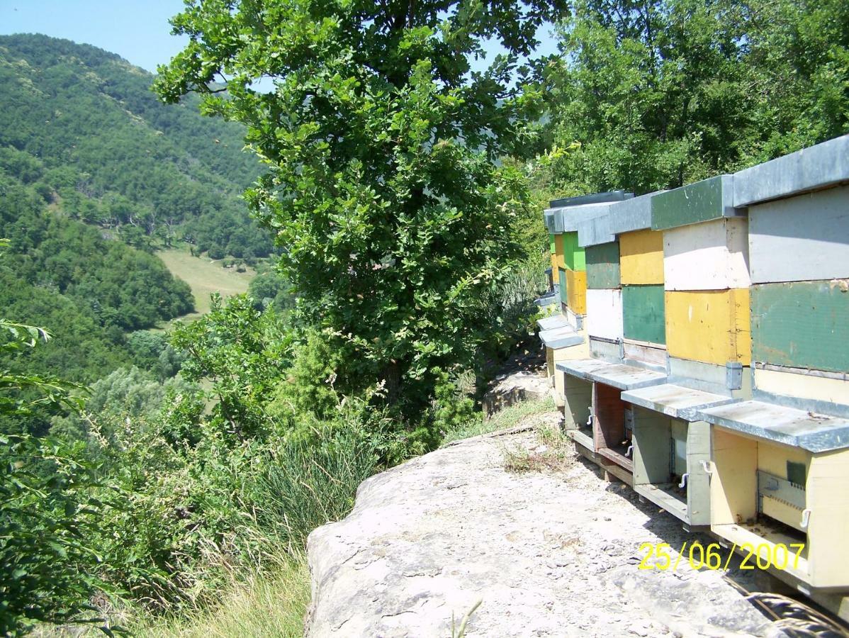 Agriturismo Pedrosola บริซิเกลลา ภายนอก รูปภาพ